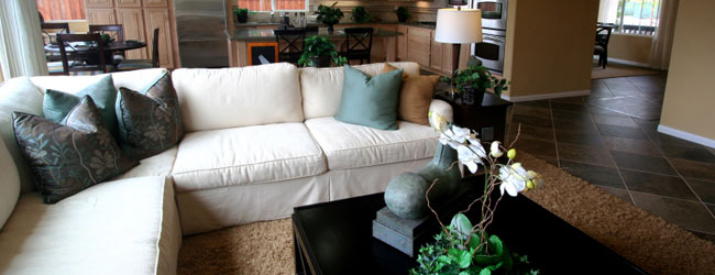 Upholstery Cleaning